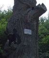 2011- 201.jpg